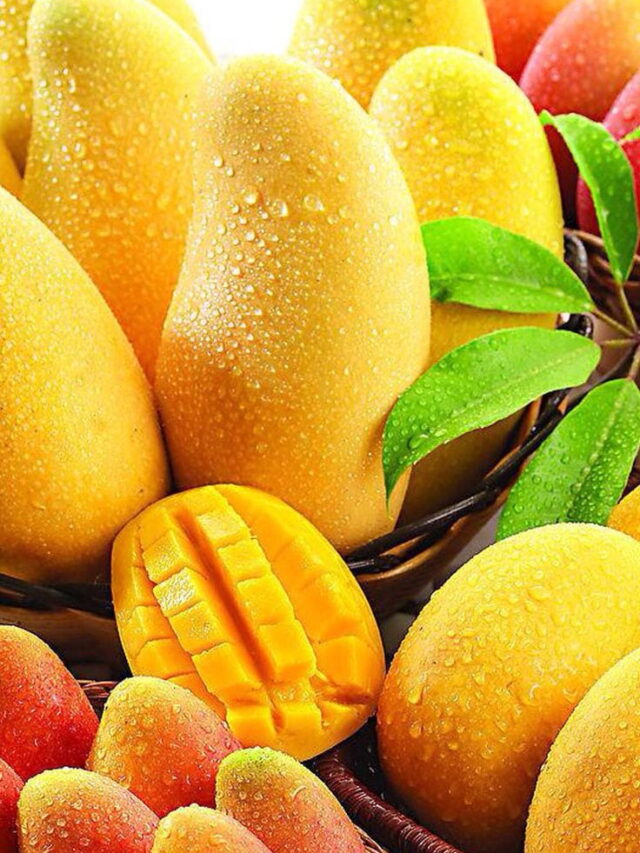 India’s Top 5 Must-Try Mango Varieties: A Taste of Heaven!