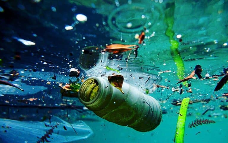 Plastic Pollution