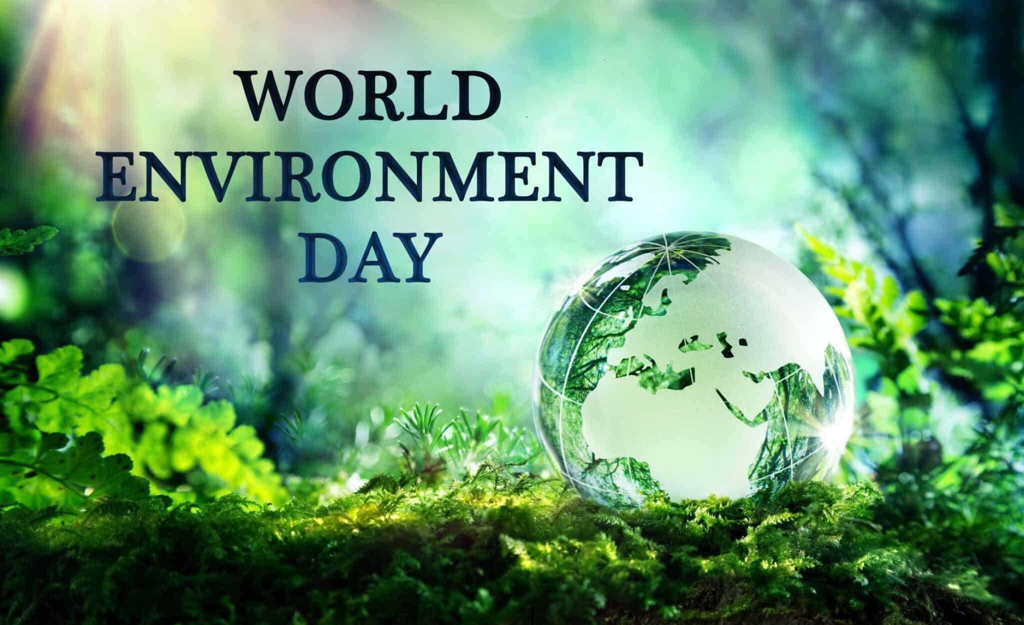 World Environment Day 2023: History, Theme, Significance, Quotes ...