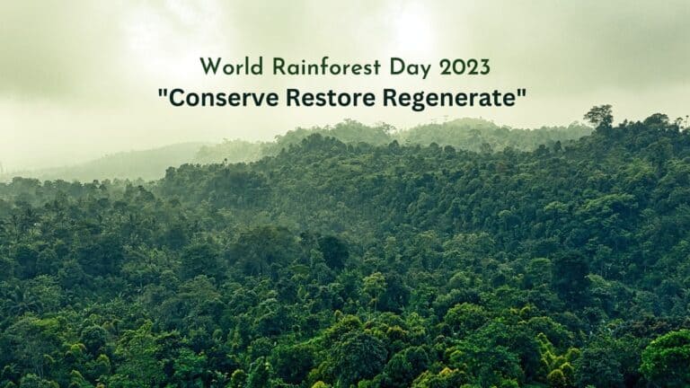 World Rainforest Day