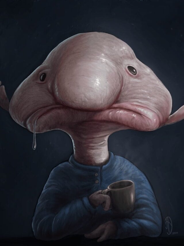 Mr-Blobfish