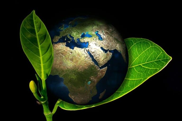 World Environment Day