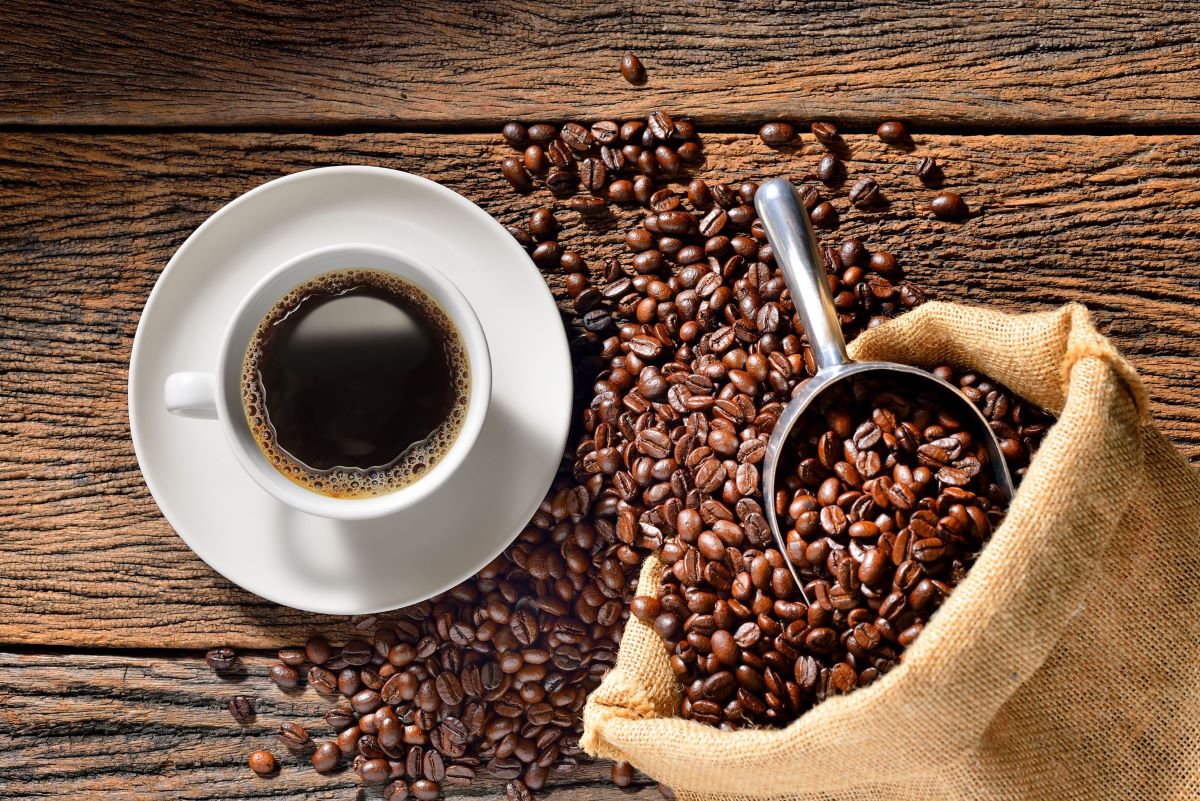Karnataka Budget: Arabica Coffee Branding & Eco-Tourism Promotion