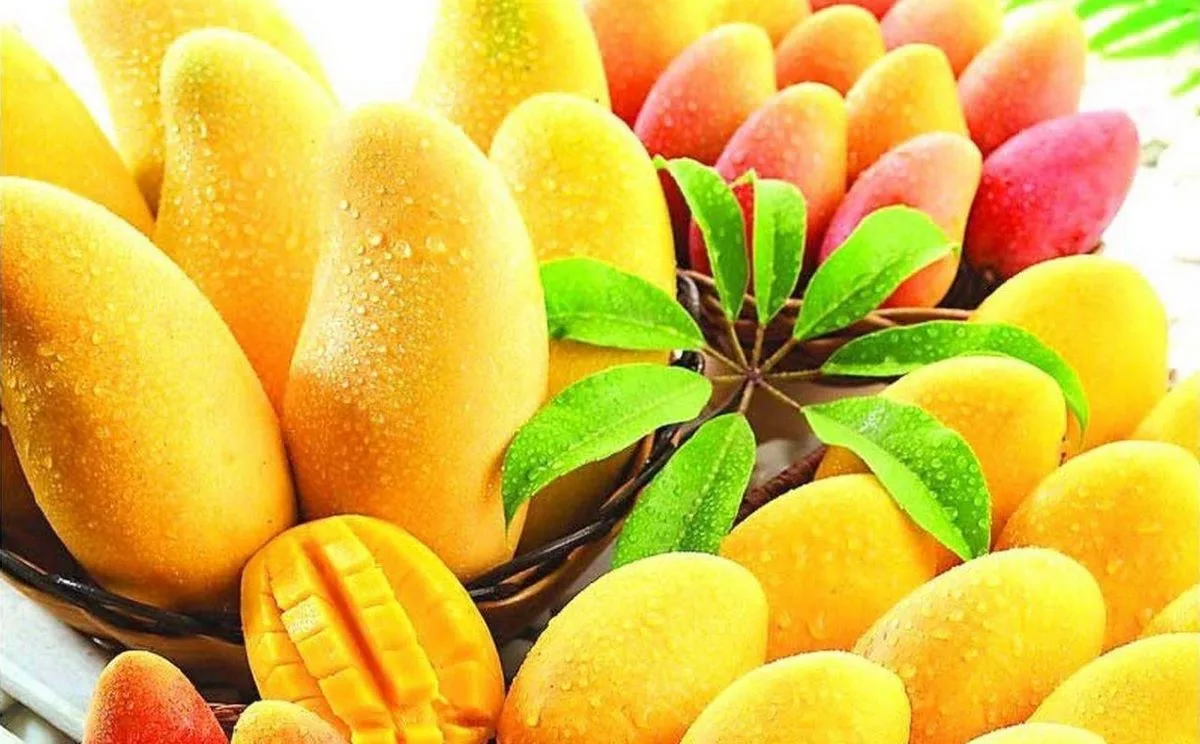 National Mango Day 2023