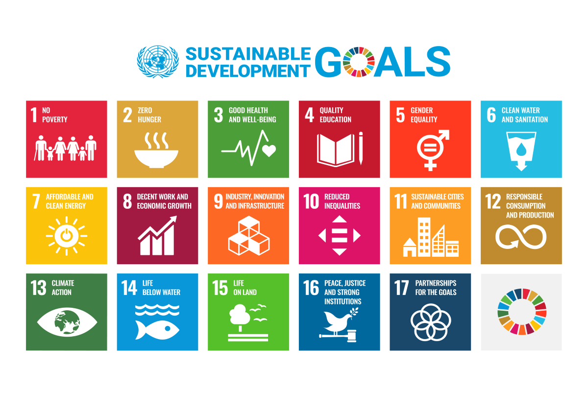 SDGs: Significant Progress Made, but Challenges Persist, Reports MoSPI