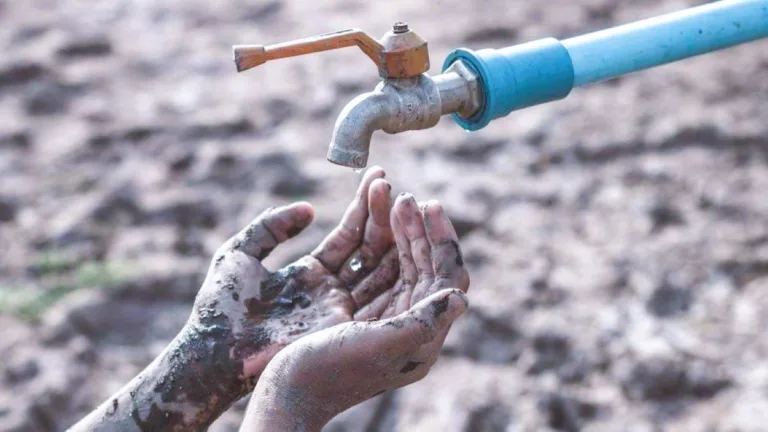 FAO Urges Nations to Prepare as 50% of Population to Face Water Crisis by 2050