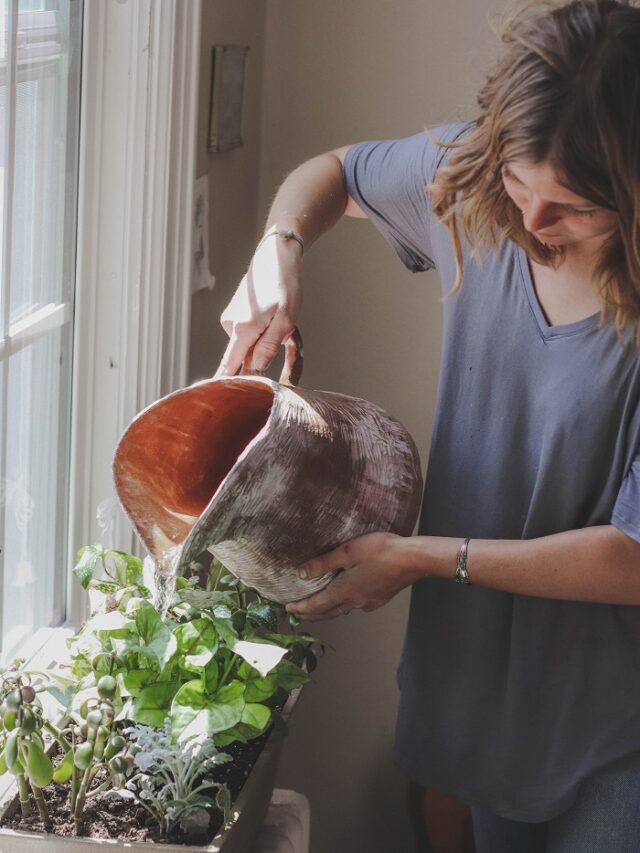 Watering Plant