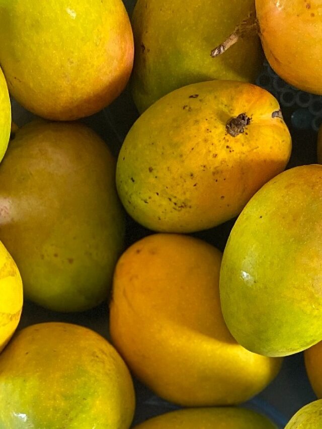 mango