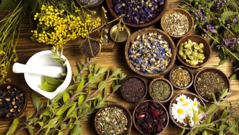 WHO Global Summit Highlights India's Growing Role in Traditional Medicine