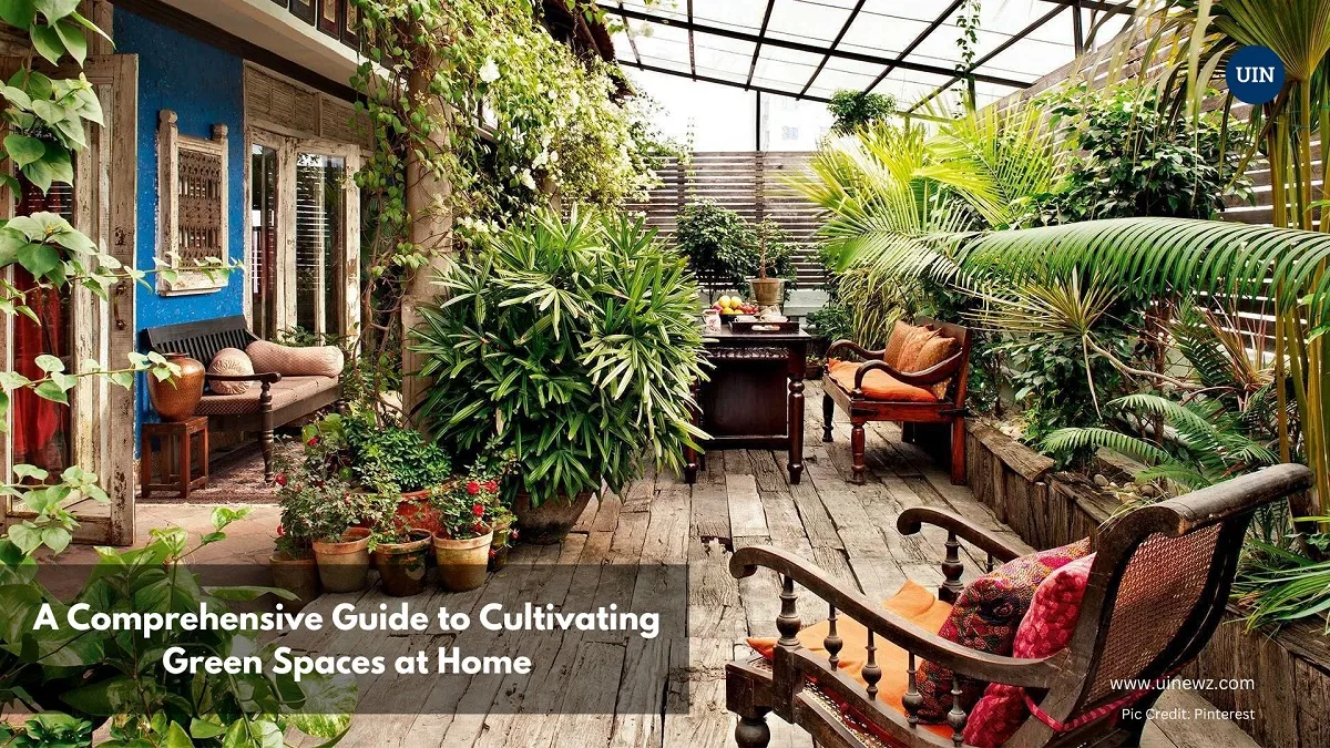 Terrace Gardening: A Comprehensive Guide to Cultivating Green Spaces at Home