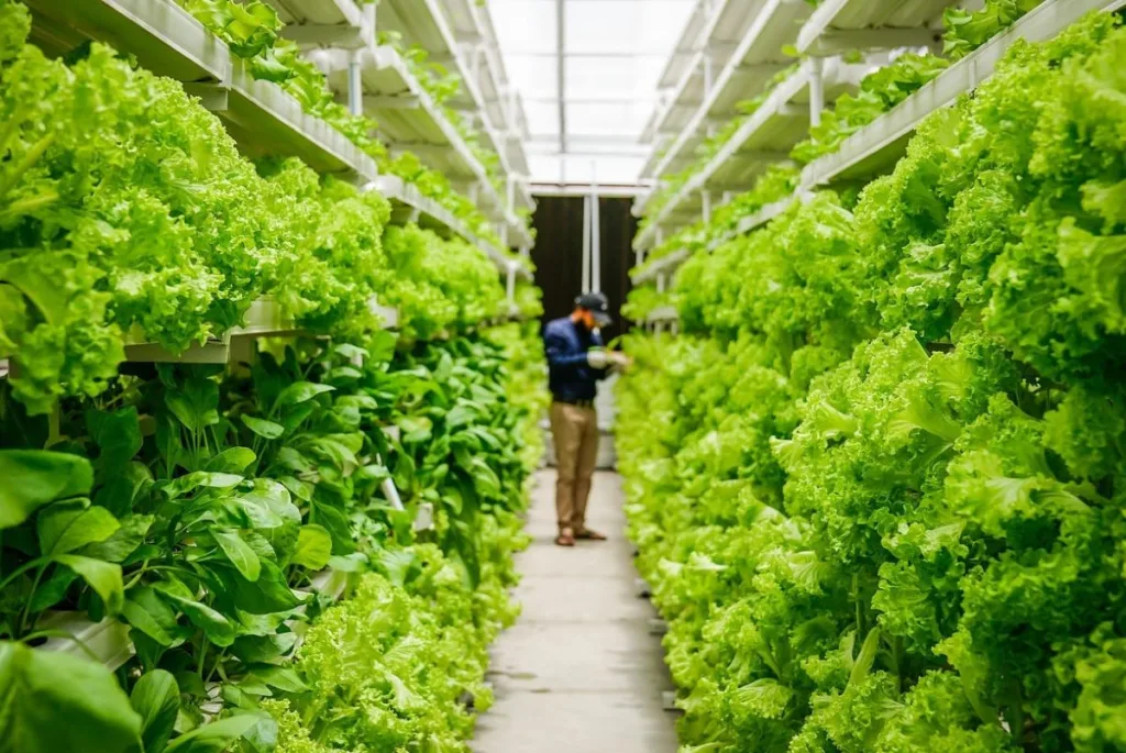 Vertical Farming: Cultivating a Sustainable Future for Food Security & Resource Efficiency
