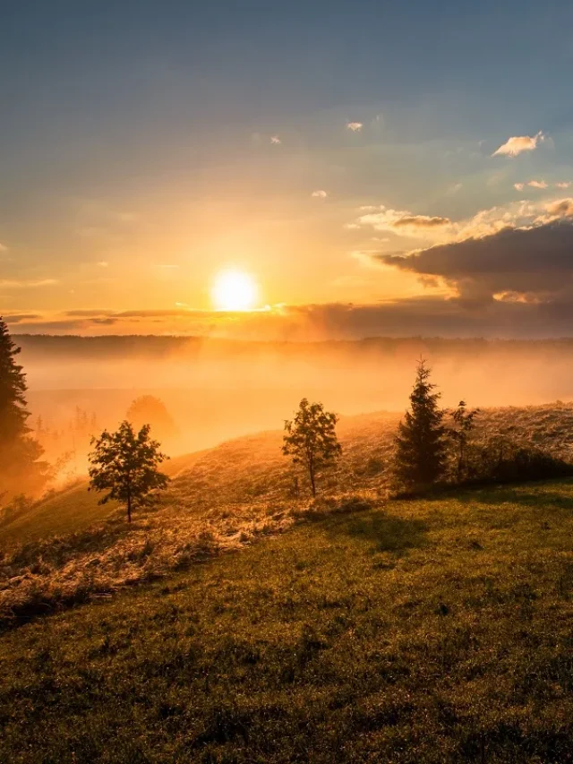 7 Early Morning Habits That Can Change Your Life