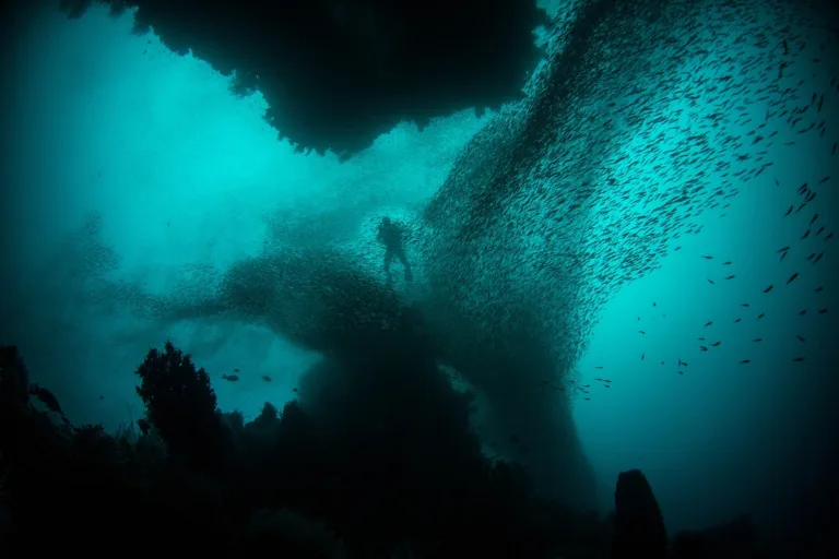 Ocean Mysteries