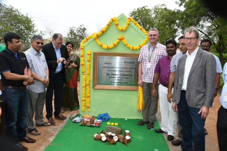 Walmart Foundation Grantees Continue to Work with Farmers to Bring Millets to the Forefront