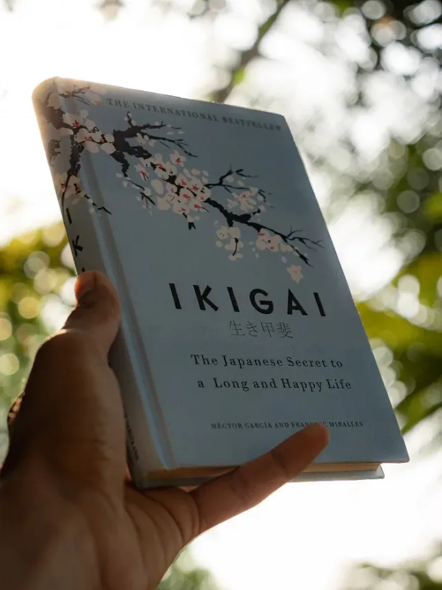 Top 5 Lessons Learned From Ikigai