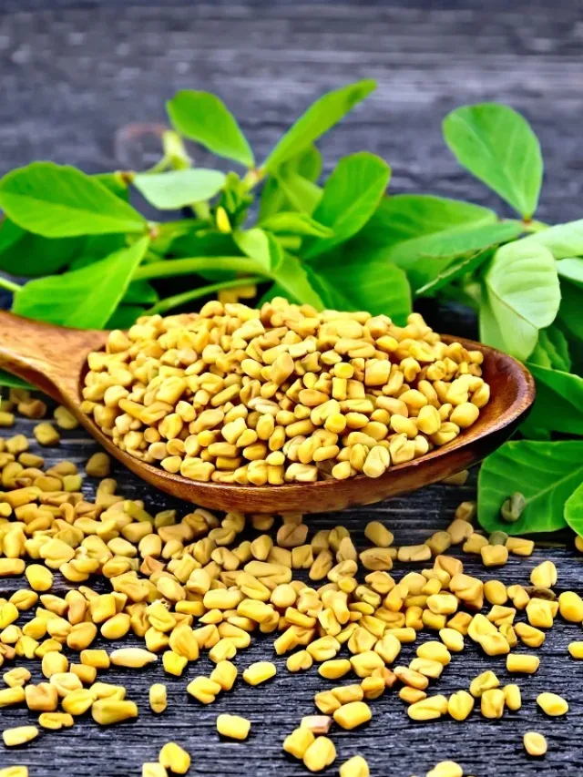 Health Benefits of Fenugreek Seeds