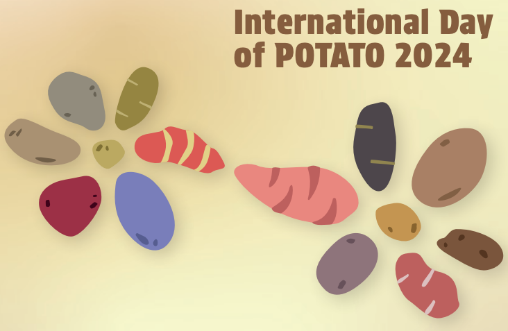 Celebrating the International Day of Potato: A Global Tribute to a Versatile Crop