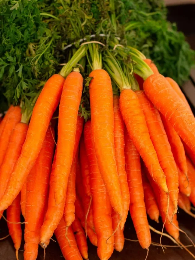 India’s Top 5 Carrot Producing States