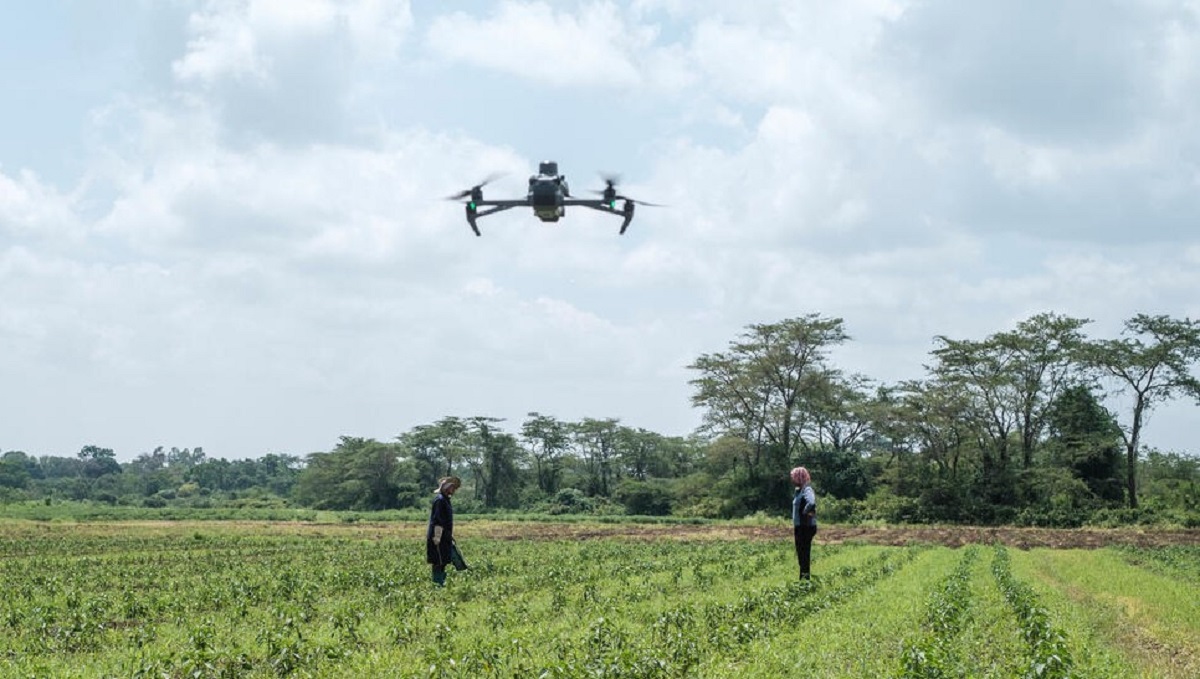 FAO Highlights the Transformative Potential of AI in Agrifood Systems