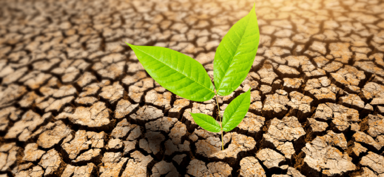 Global_warming_ vs_climate _change_Why_we _all_need_to understand_the difference_desktop