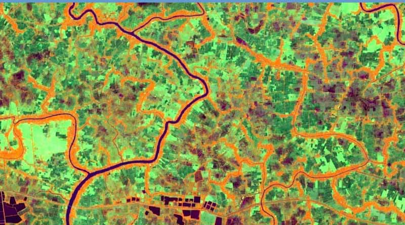 FAO’s Earth Map Recognized with Google Impact Award