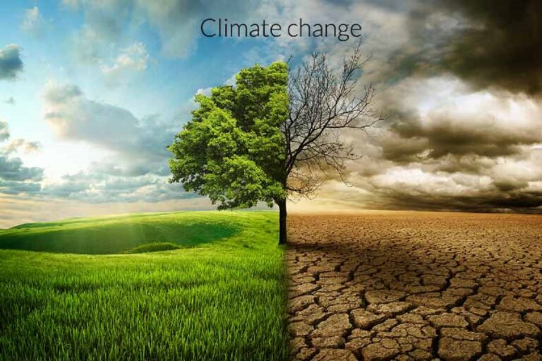 climate-change