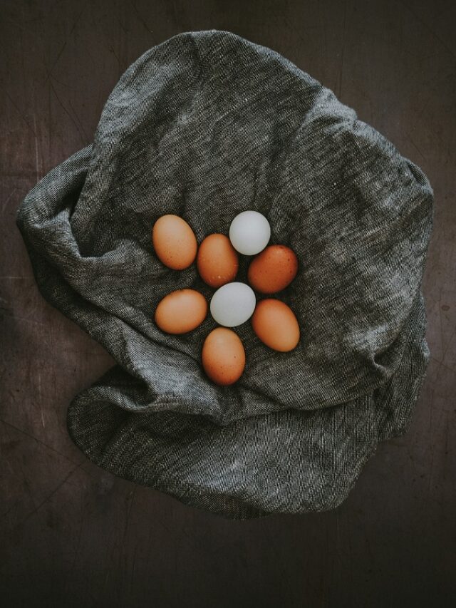 White Eggs VS  Brown Eggs