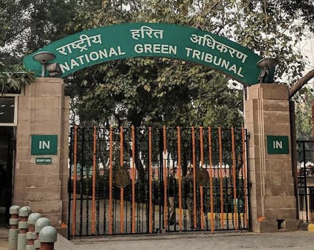 NGT Directs Environment Ministry to Form Committee for Assam-Nagaland Border Forest Survey