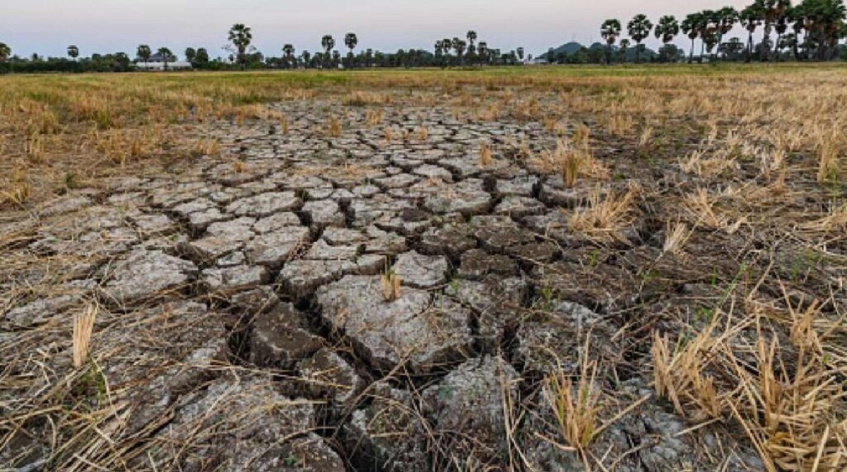 Tackling Land Degradation, Desertification, and Drought Resilience in Indian Agriculture