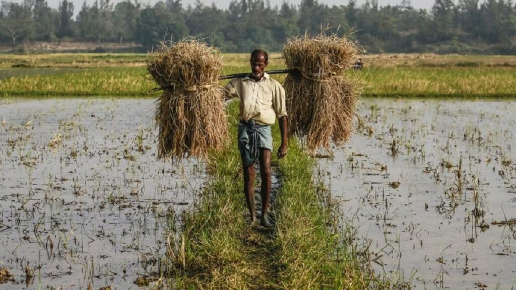 Odisha-agriculture-1024x576