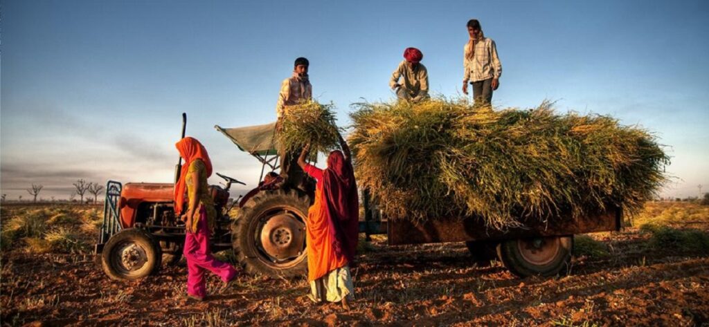 Strengthening the Indian Agriculture ecosystem 2