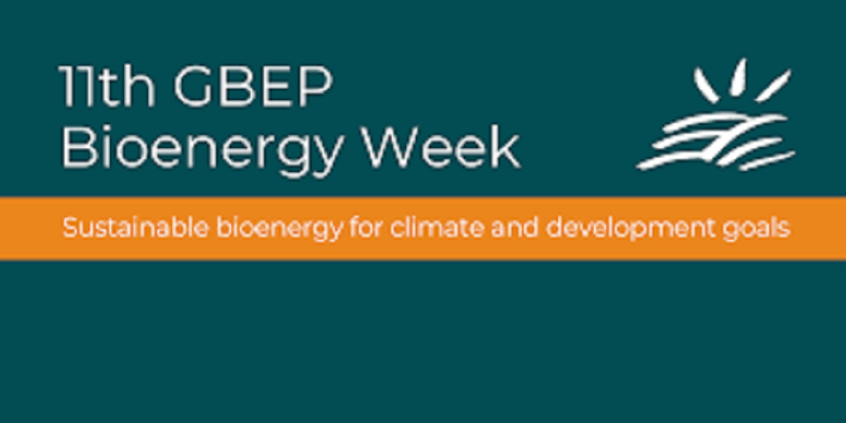 GBEP Bioenergy Week: FAO Highlights Sustainability in Bioenergy for Climate Goals and SDGs
