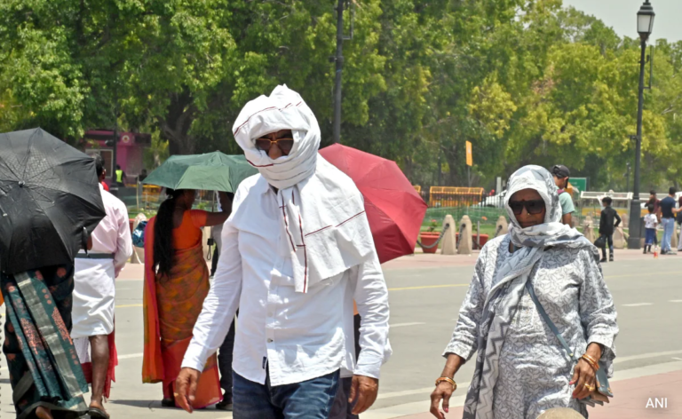 eja95iq8_delhi-heatwave_625x300_01_June_24