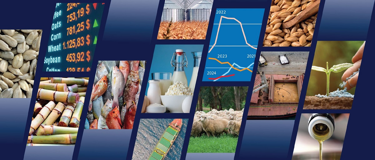 FAO Predicts Stable Outlook for Global Food Commodity Markets in 2024/25