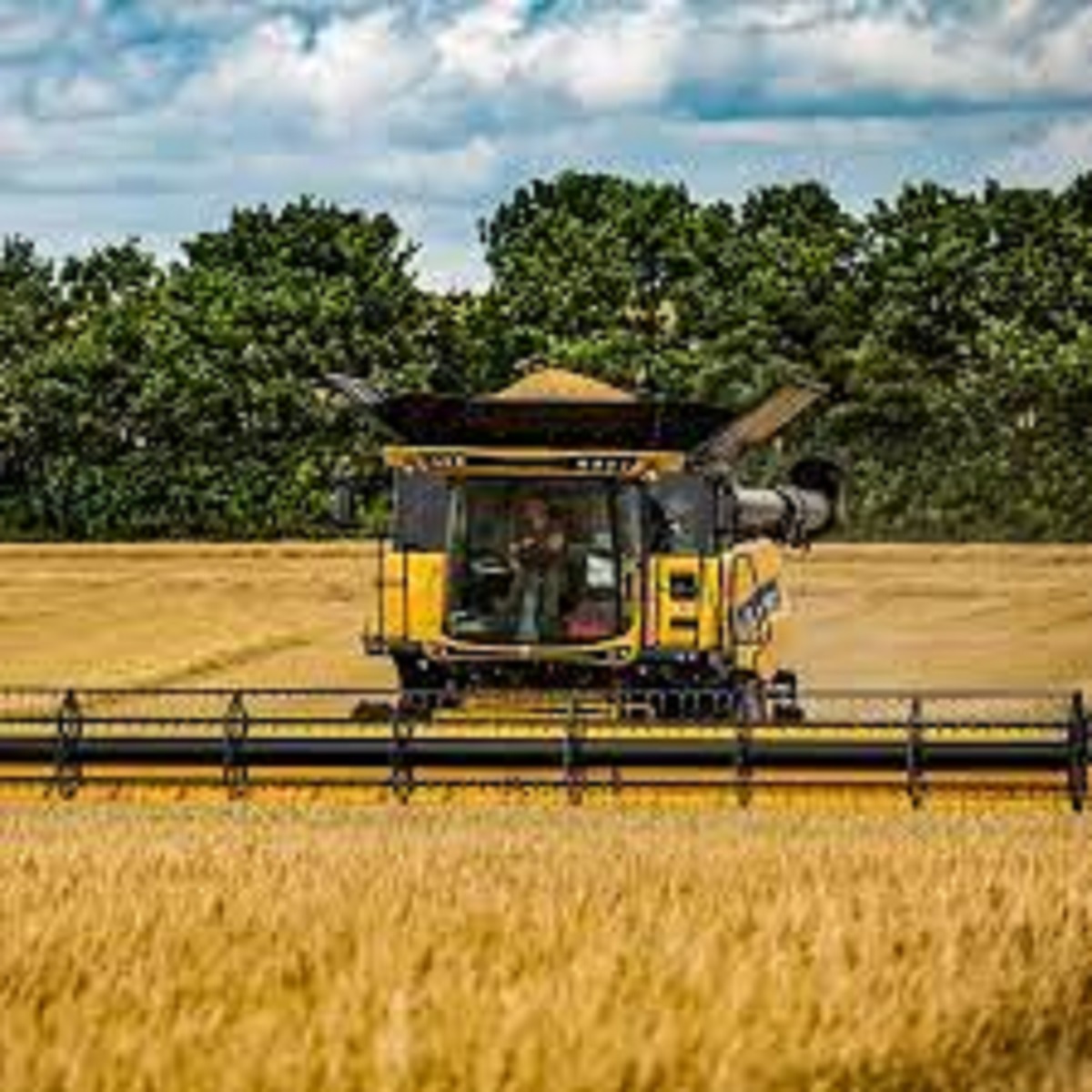 Major Investments Announced for UK Farming and Food Sector