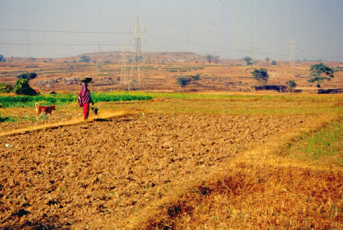 Government Plans Climate-Resilient Farming in 50,000 Villages