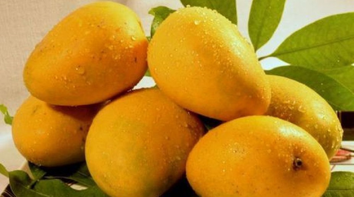 UAE: Mango Festival 2024 Kicks Off at Expo Khor Fakkan