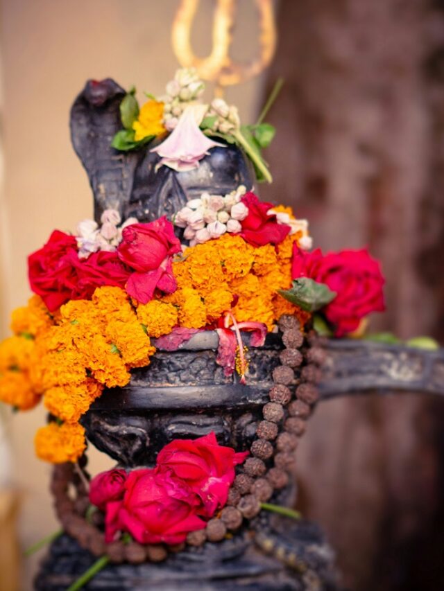 Top 5 Favorite Flowers offered to Lord Shiva