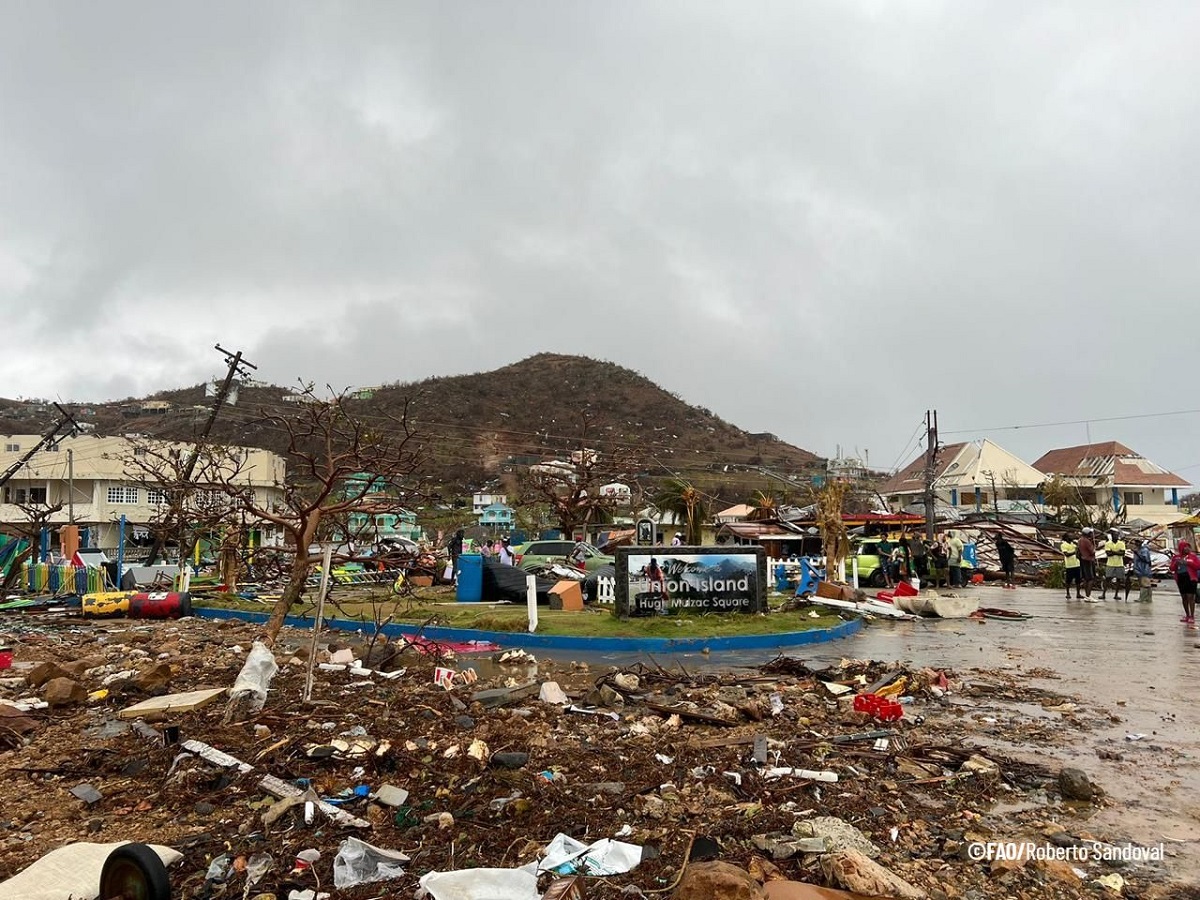 FAO Assists Caribbean Nations in Wake of Hurricane Beryl
