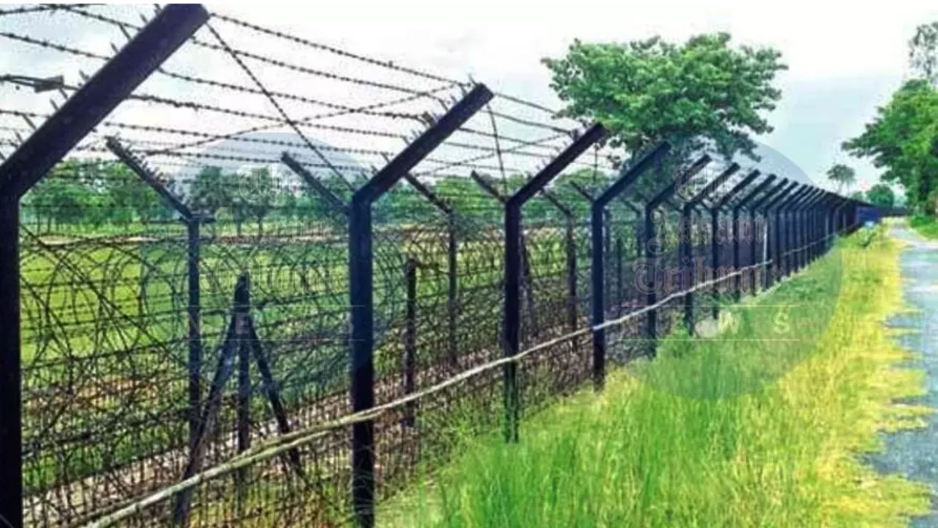 Assam Police Foil Illegal Border Entry, Push Back Three Bangladesh Nationals
