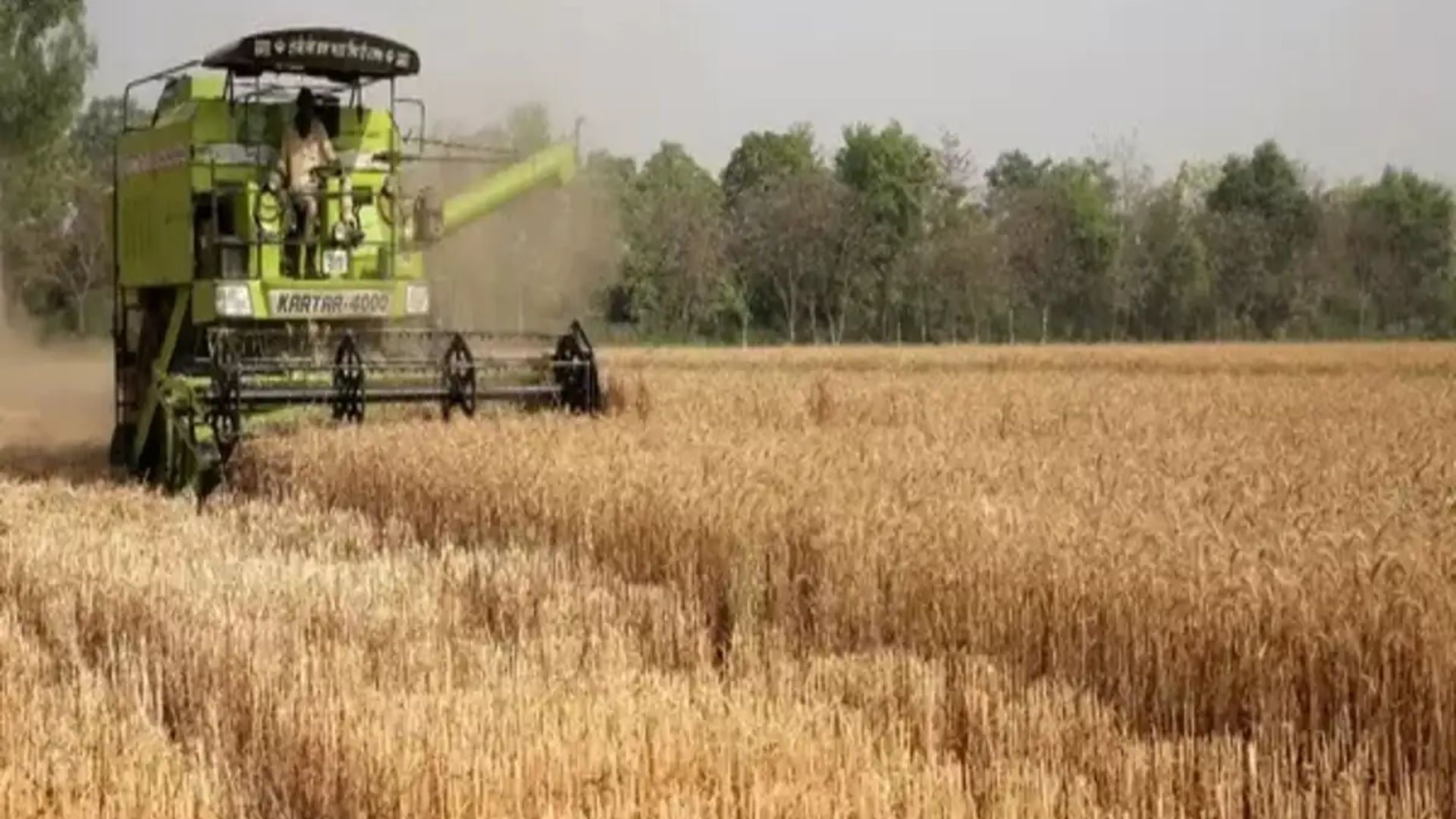 India May Not Suffer Major Losses from US Tariffs, Says Agricultural Economist Ashok Gulati