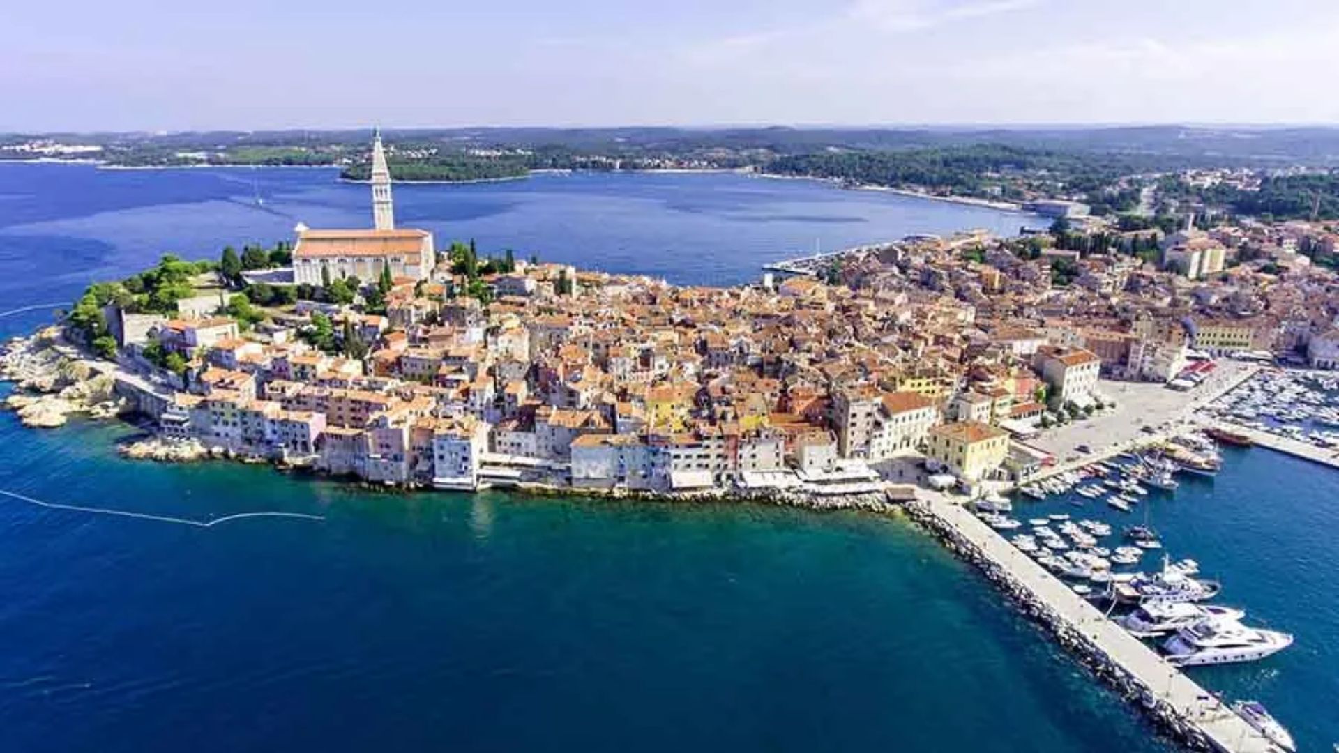 India Strengthens Trade Ties with Croatia and the Netherlands to Broaden Global Partnerships