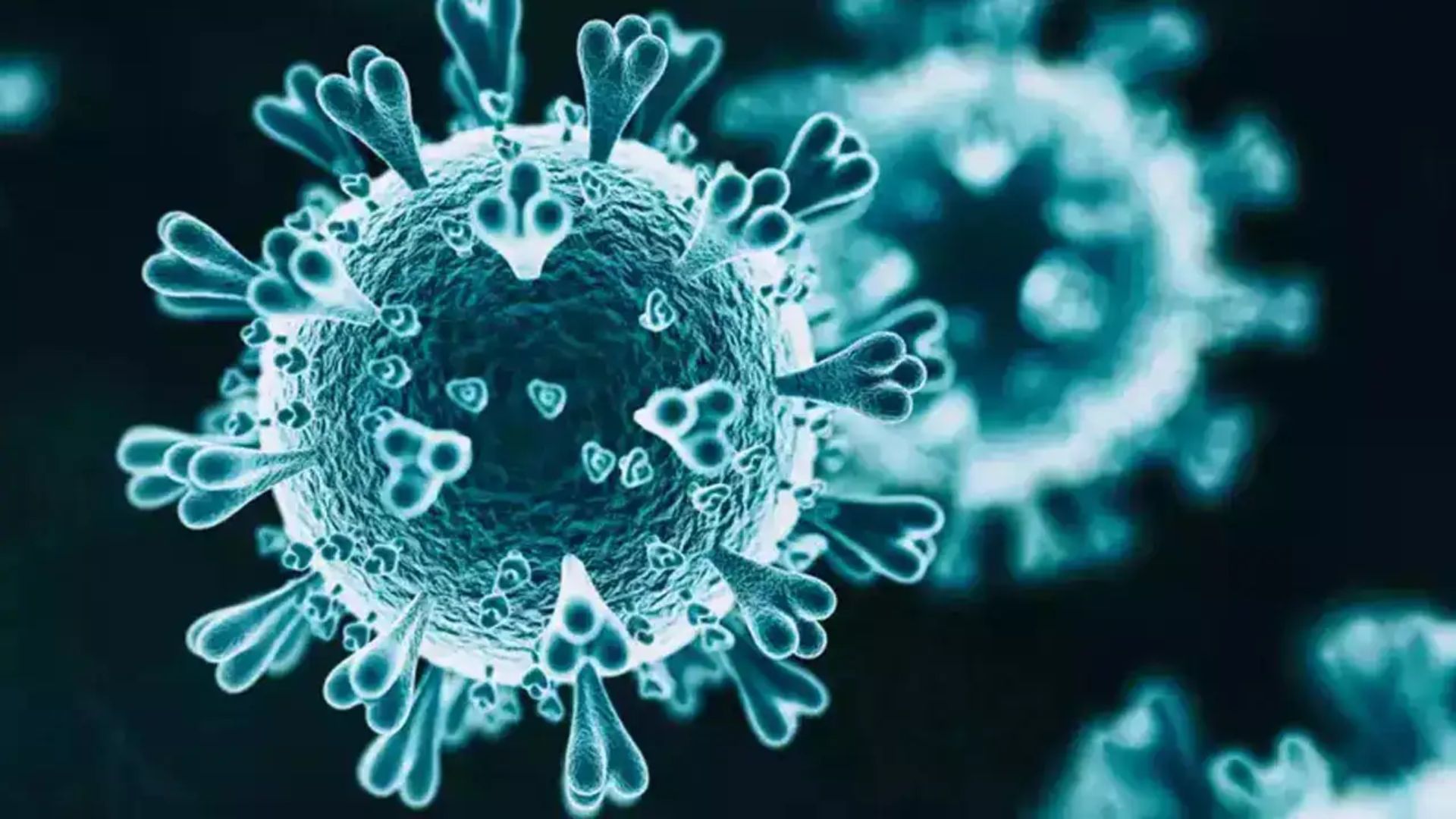 Pune-based firm receives major international grant to accelerate development of Nipah virus vaccine