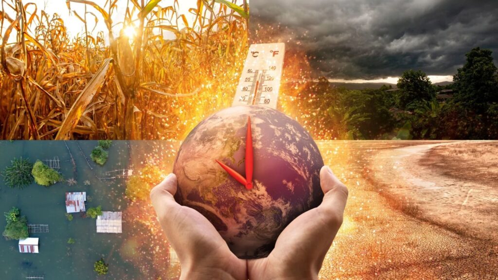 Climate Change Will Define the Lives of Today’s Children New Research Reveals Stark Future