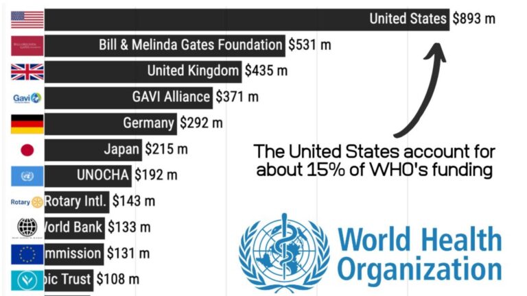 Countries Commit Over $170 Million to WHO as U.S. Funding Wanes