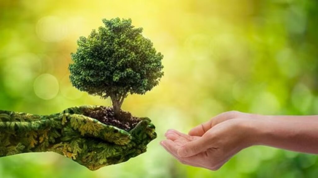 India Marks World Environment Day 2025 with Renewed Commitment to Sustainability