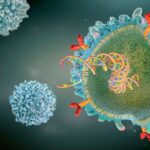 Indian Scientists Develop Breakthrough Nano-Cups for Effective, Non-Invasive Cancer Therapy