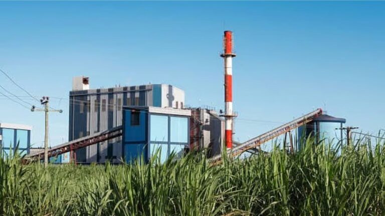 India's Ethanol Capacity Quadruples in 11 Years, Boosting Fuel Blending and Farmer Incomes