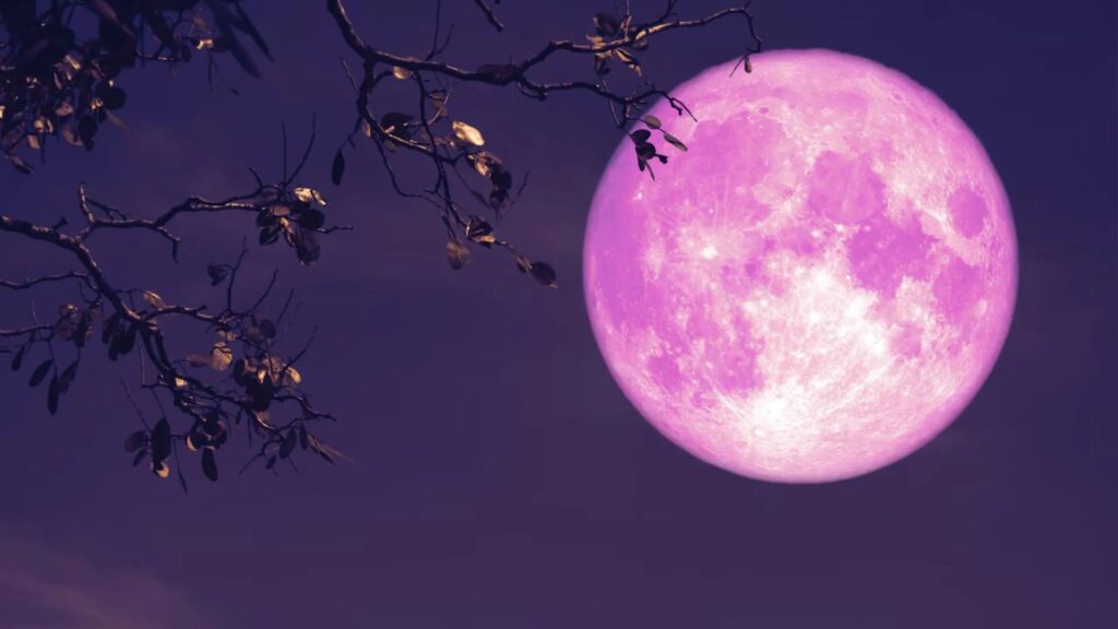 Strawberry Moon 2025 When and where to watch June’s last full moon