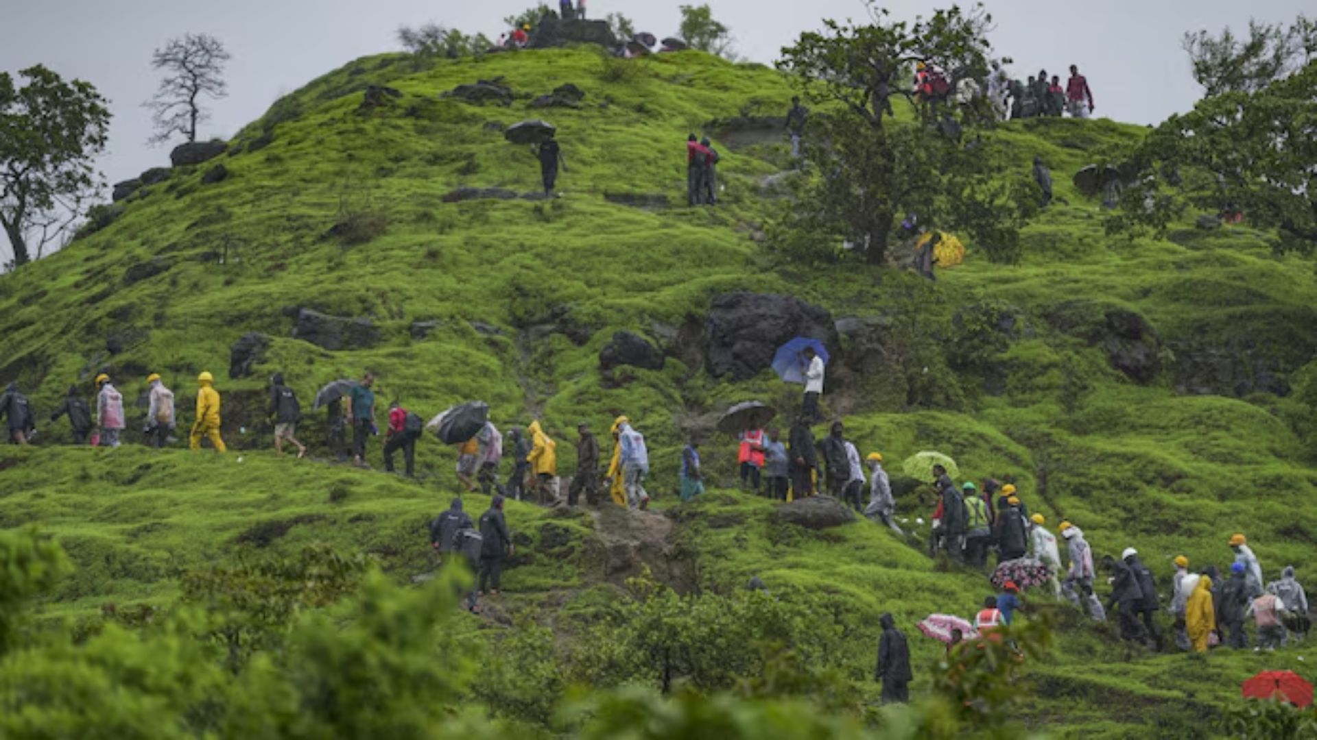 From Ashes to Abundance: How a Bamboo-Led Revolution Is Reviving Maharashtra’s Dead Lands